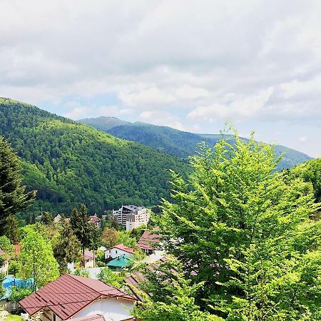 Casa Miu Villa Sinaia Kültér fotó