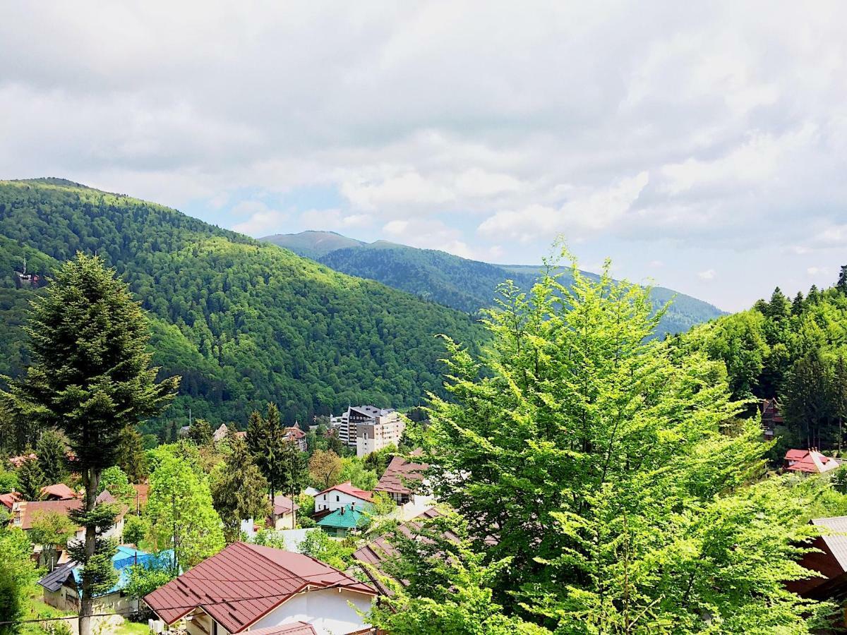 Casa Miu Villa Sinaia Kültér fotó