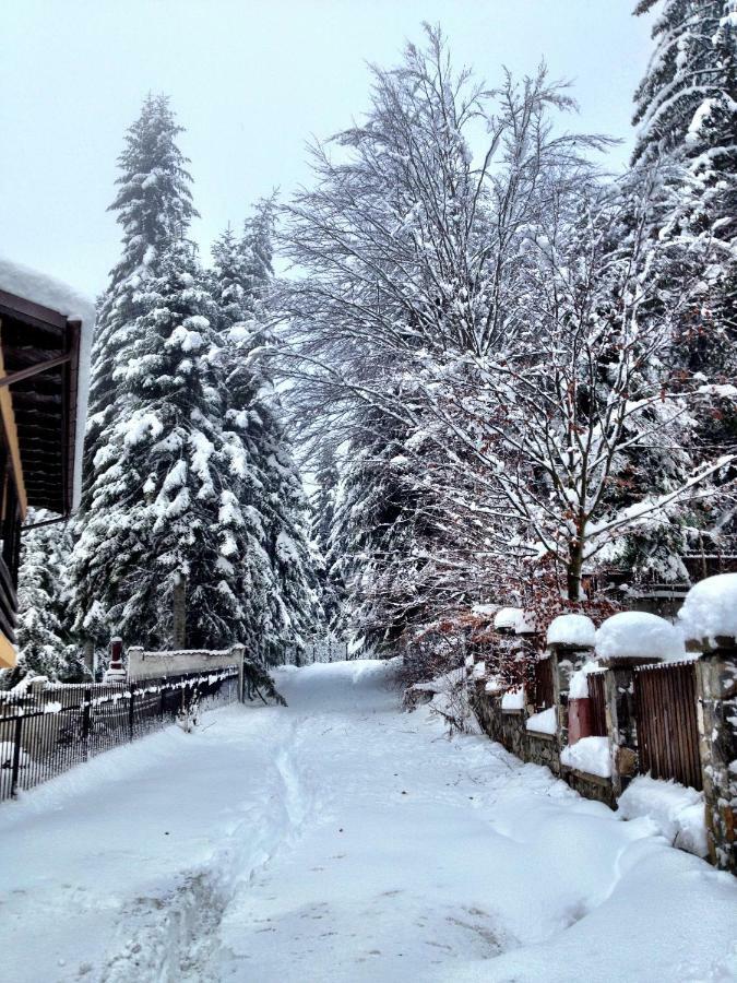 Casa Miu Villa Sinaia Kültér fotó